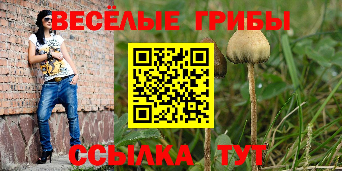 Рассказово  Галлюциногенные грибы Cubensis  Вход с VPN  Галлюциногенные грибы Psilocybe 
