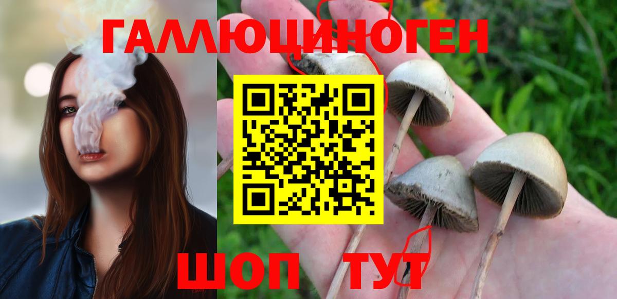 Псилоцибиновые грибы GOLDEN TEACHER Рассказово